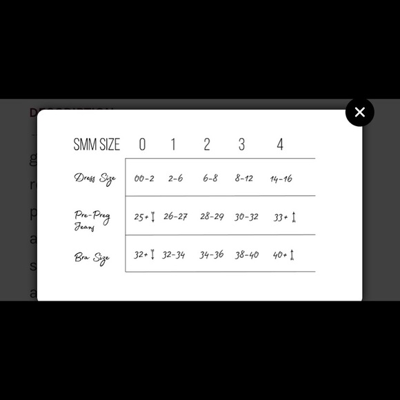 Maternity Sheer Lace Gown - Picture 4 of 4